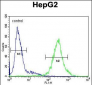 IL1RN Antibody (C-term)